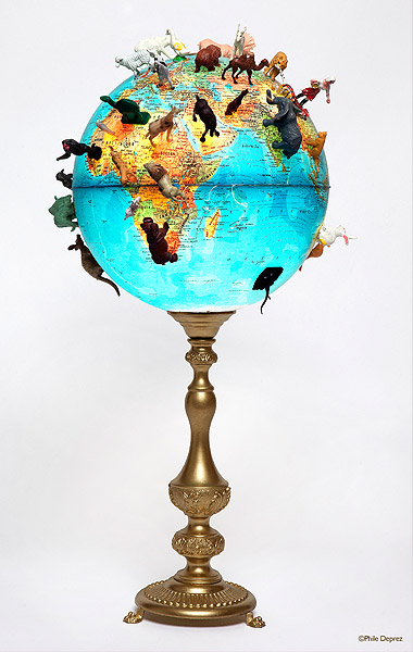 GLOBE