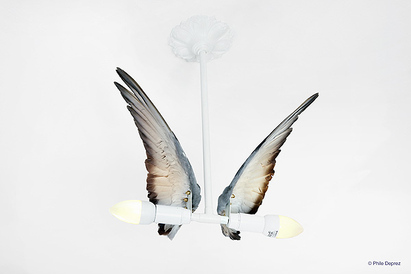 GREY BIRD - TWIN