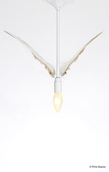 WHITE BIRD