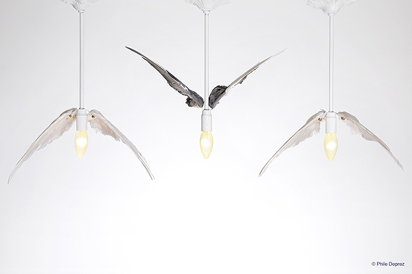 GREY BIRD AND WHITE BIRD